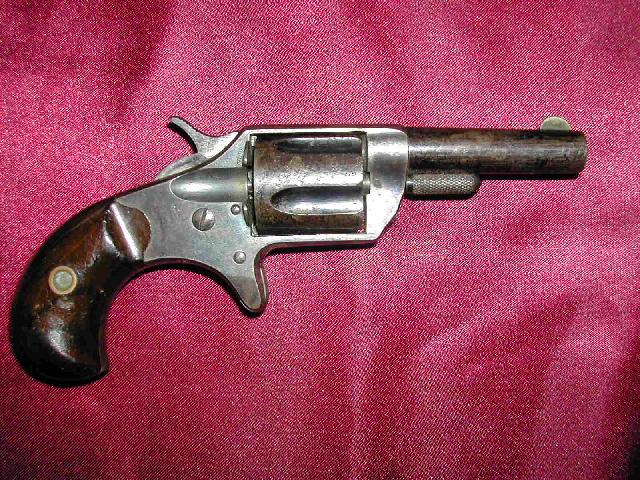 colt